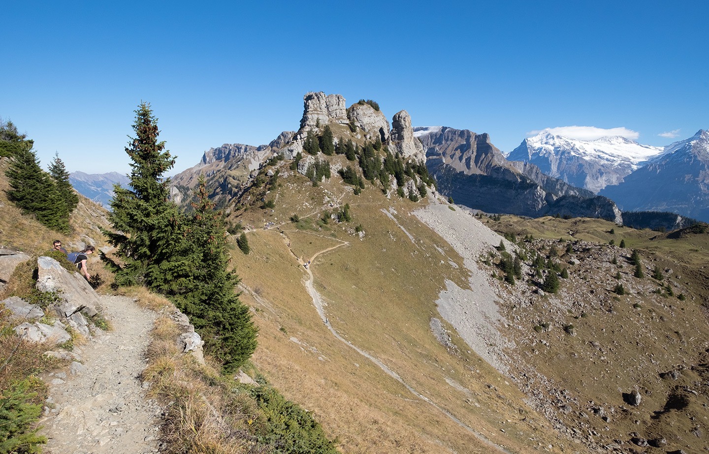 Hiking at Schynige Platte, Jungfrau, Switzerland