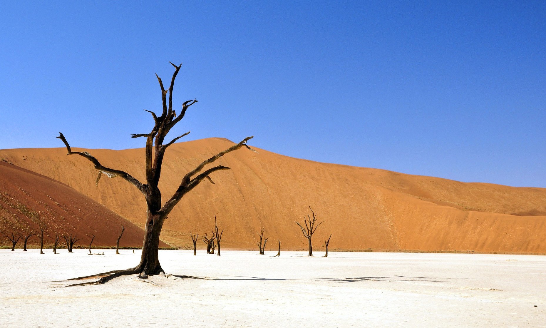 Namibia sand dunes