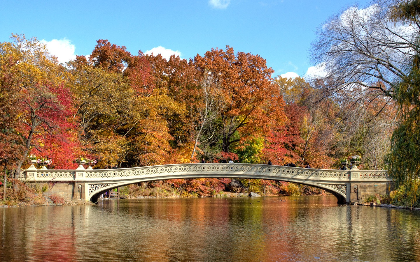 Herbst im Central Park, New York