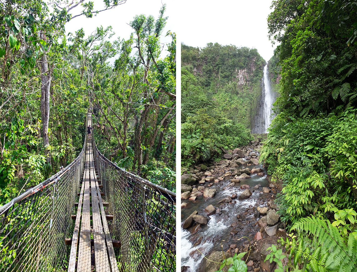 Forest canopy walk and Chutes du Carbet, Basse-Terre, Guadeloupe