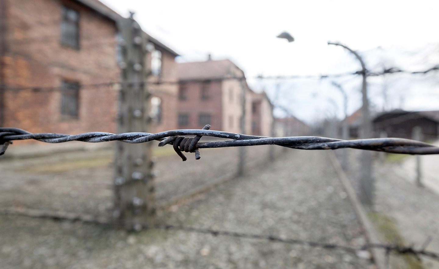 Barbed wire at Auschwitz-Birkenau, Poland