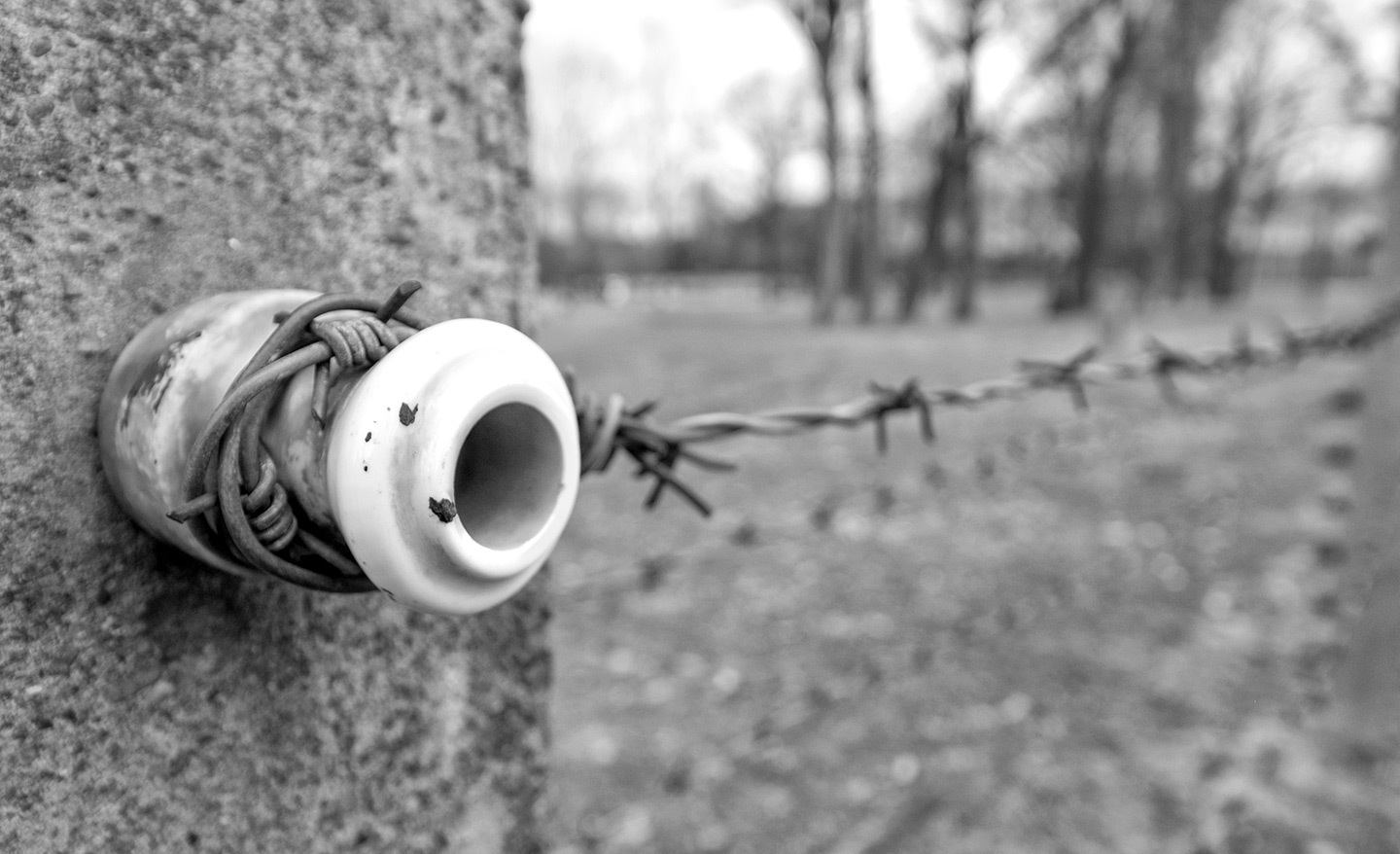 Auschwitz-Birkenau, Poland