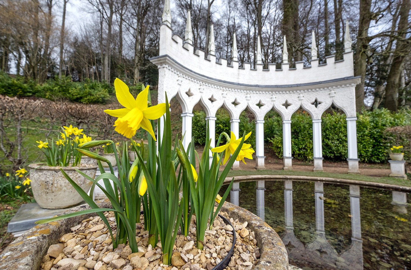 Painswick Rococo Garden in the Cotswolds