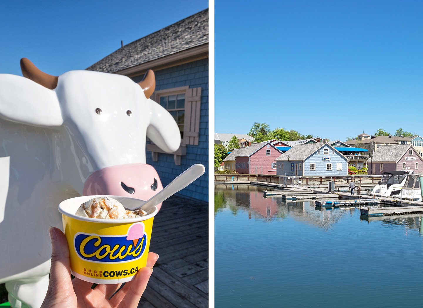Cows Creamery ice cream, Prince Edward Island Canada