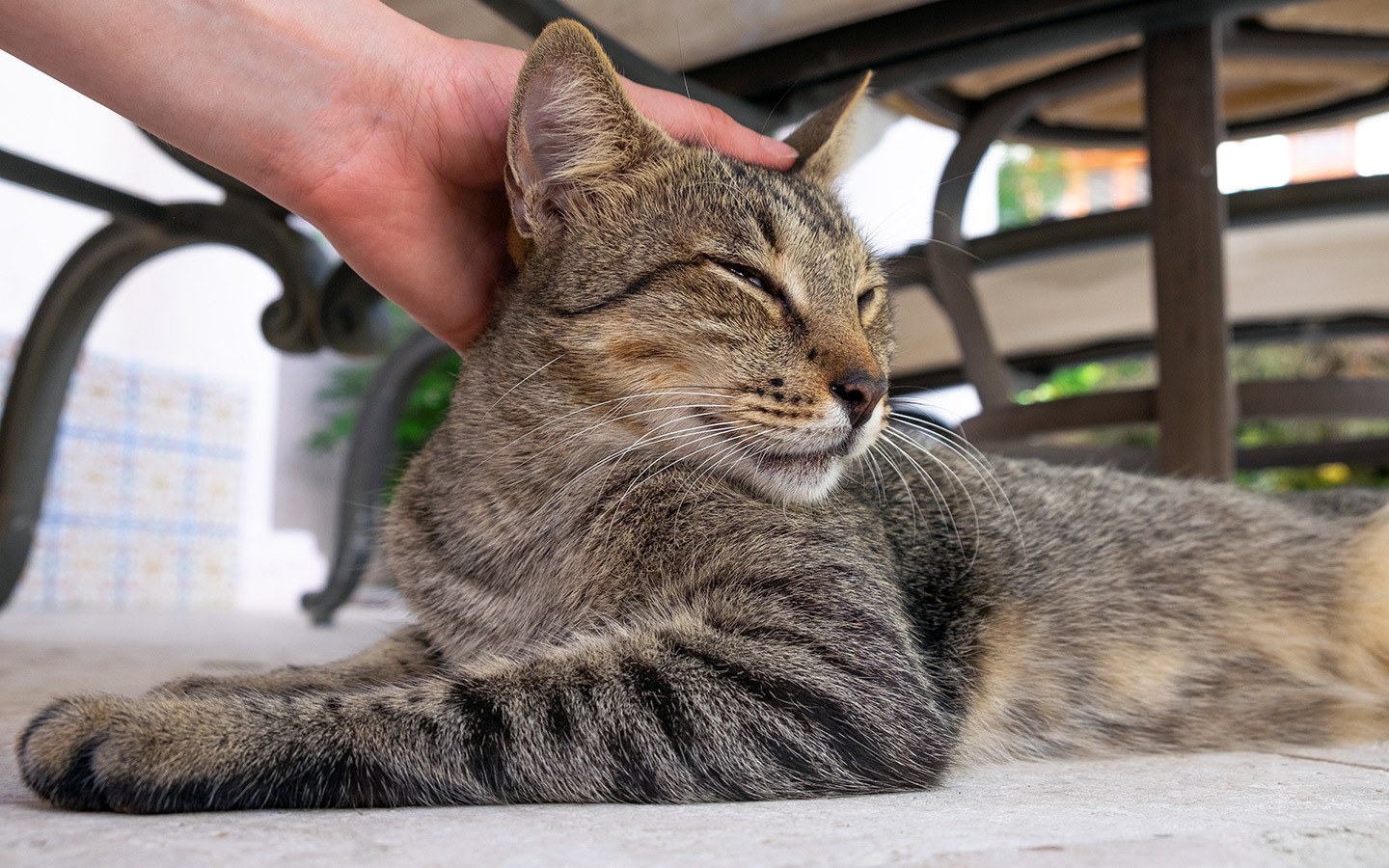 Davidson aka Cat Maison at Cap Maison, Saint Lucia