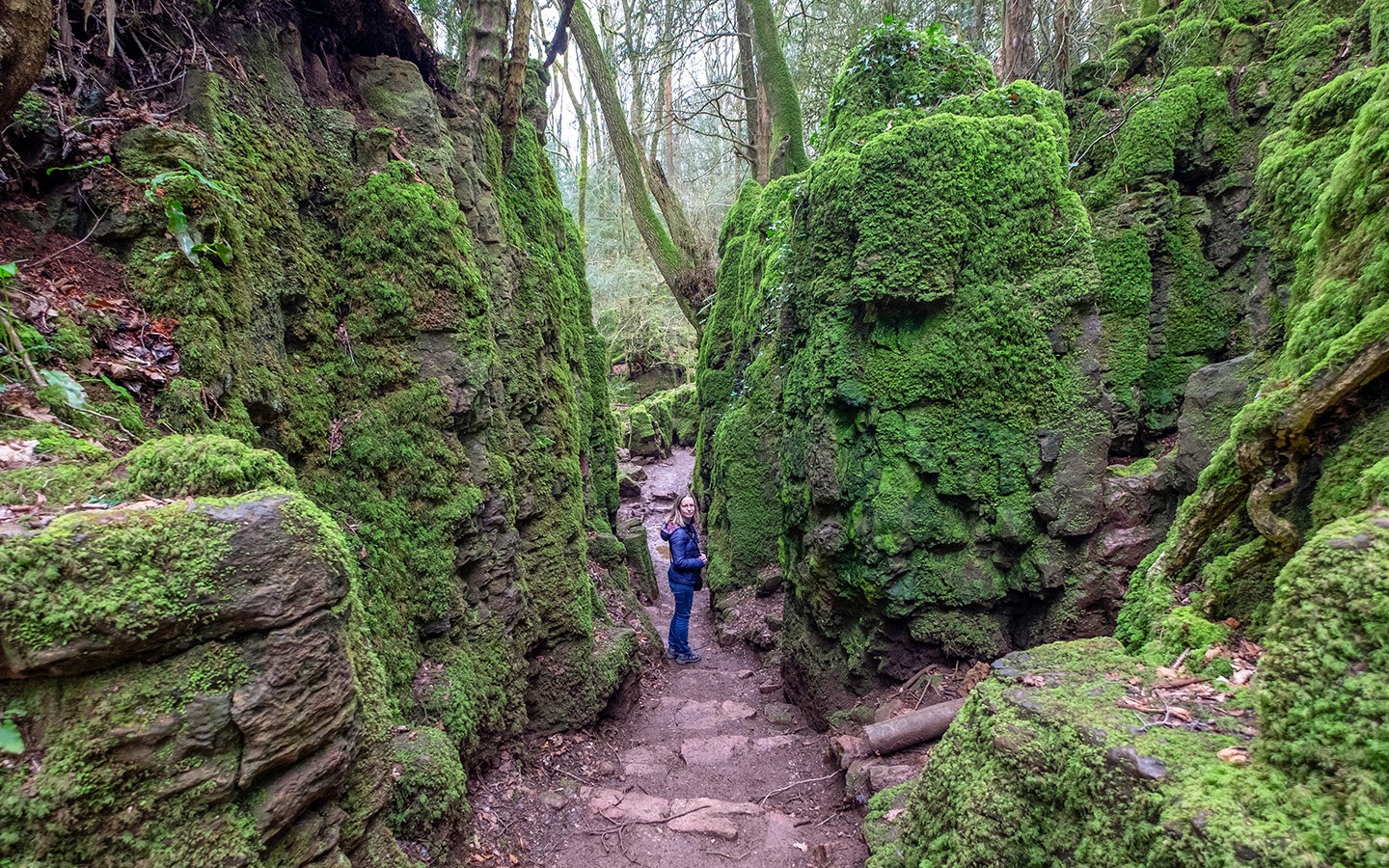 Puzzlewood, Forest of Dean