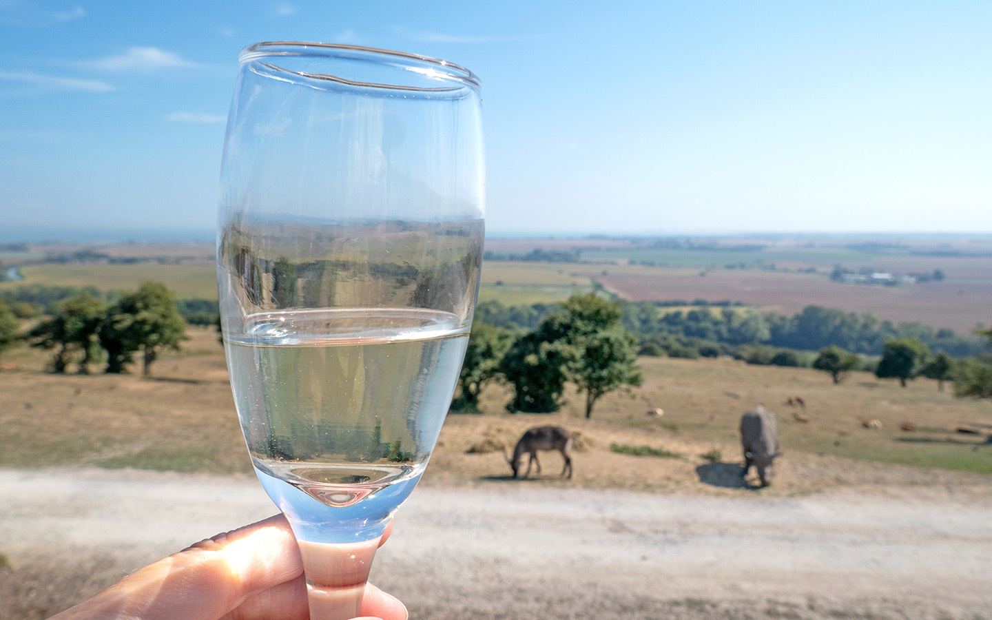 Drinks at Giraffe Lodge, Port Lympne, Kent