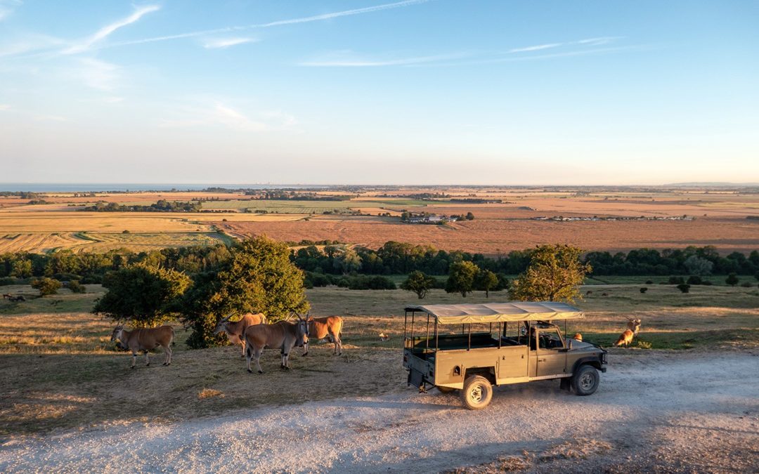 port lympne safari park weather