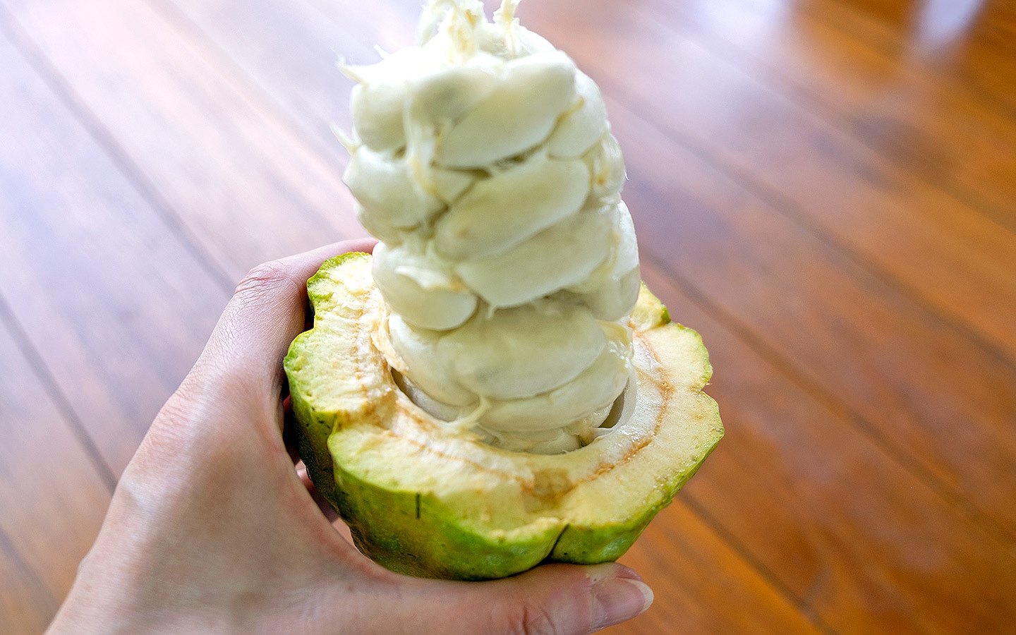 The inside of a cocoa pod in St Lucia