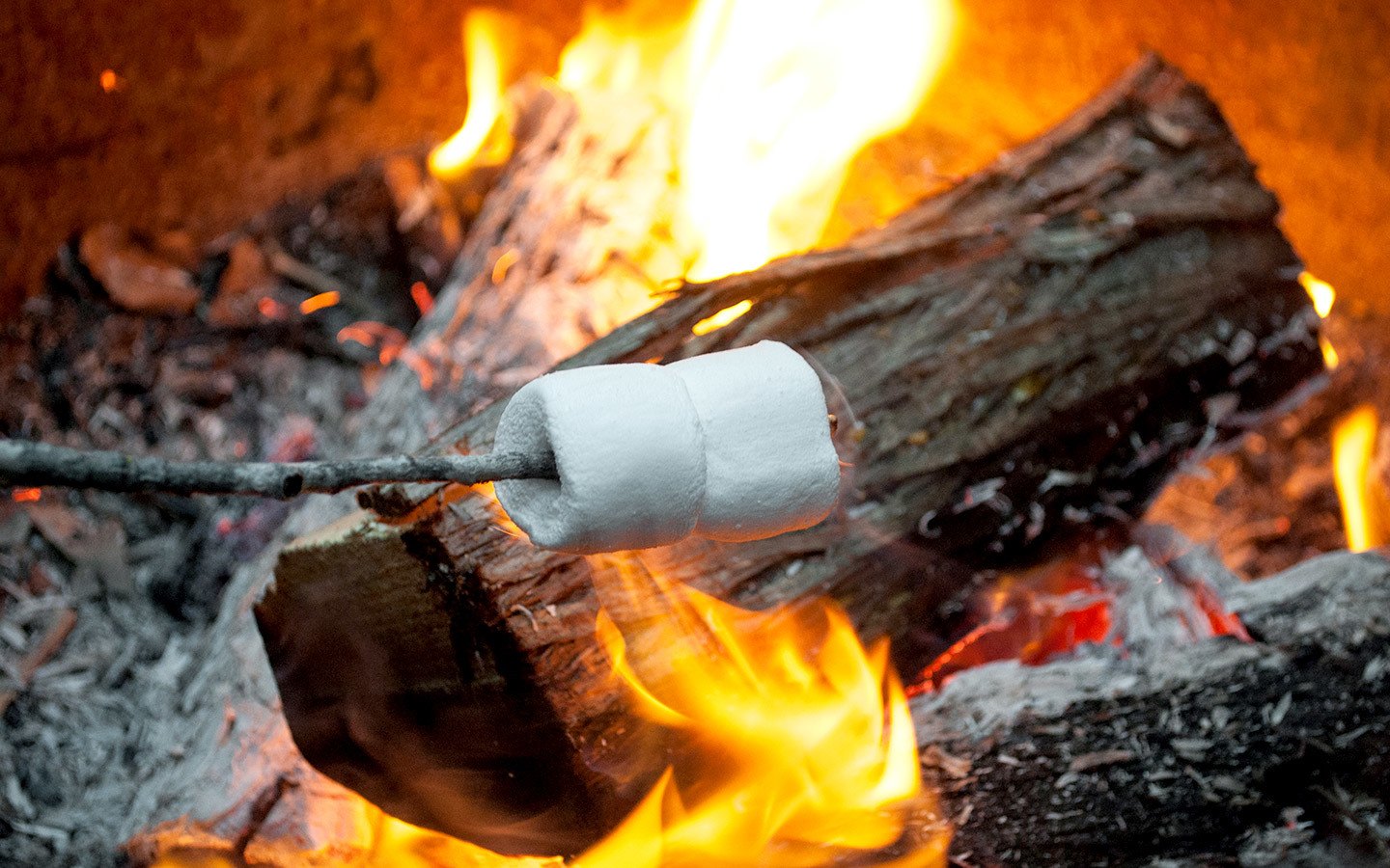 Toasting marshmallows on the campfire