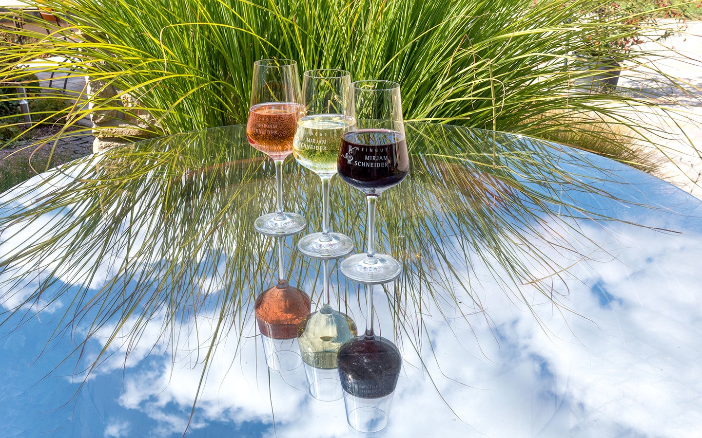 Weingut Schneider winery in Mainz, Germany