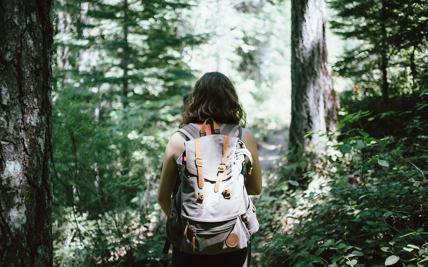 Young woman hiking in forest