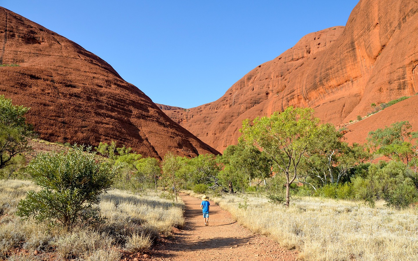 Kata Tjuta/The Olgas in Outback Australia