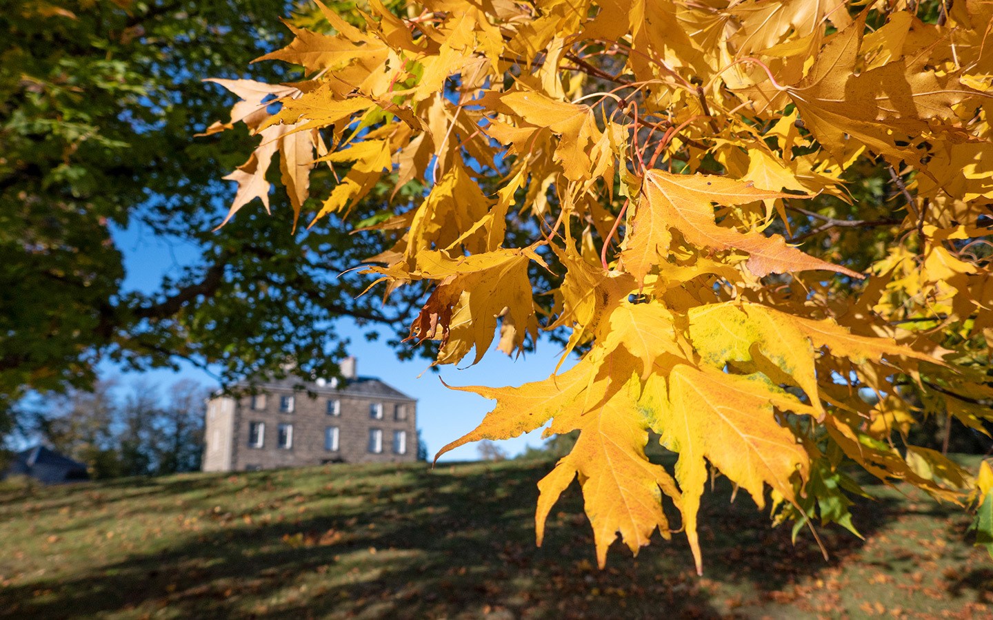 Autumn in the Edinburgh Botanic Gardens
