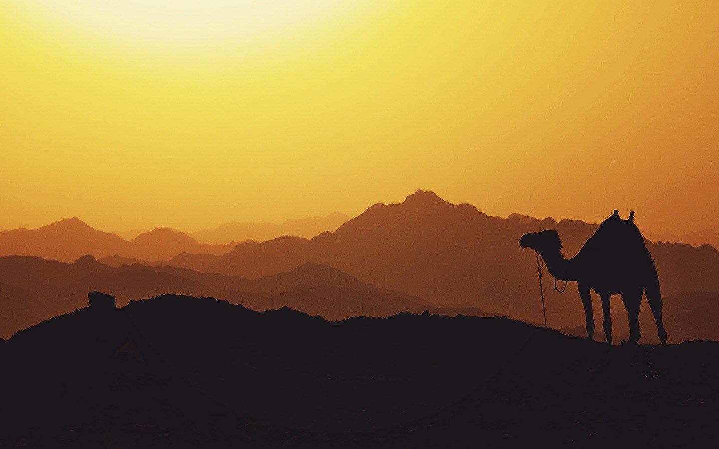 Middle East sunset