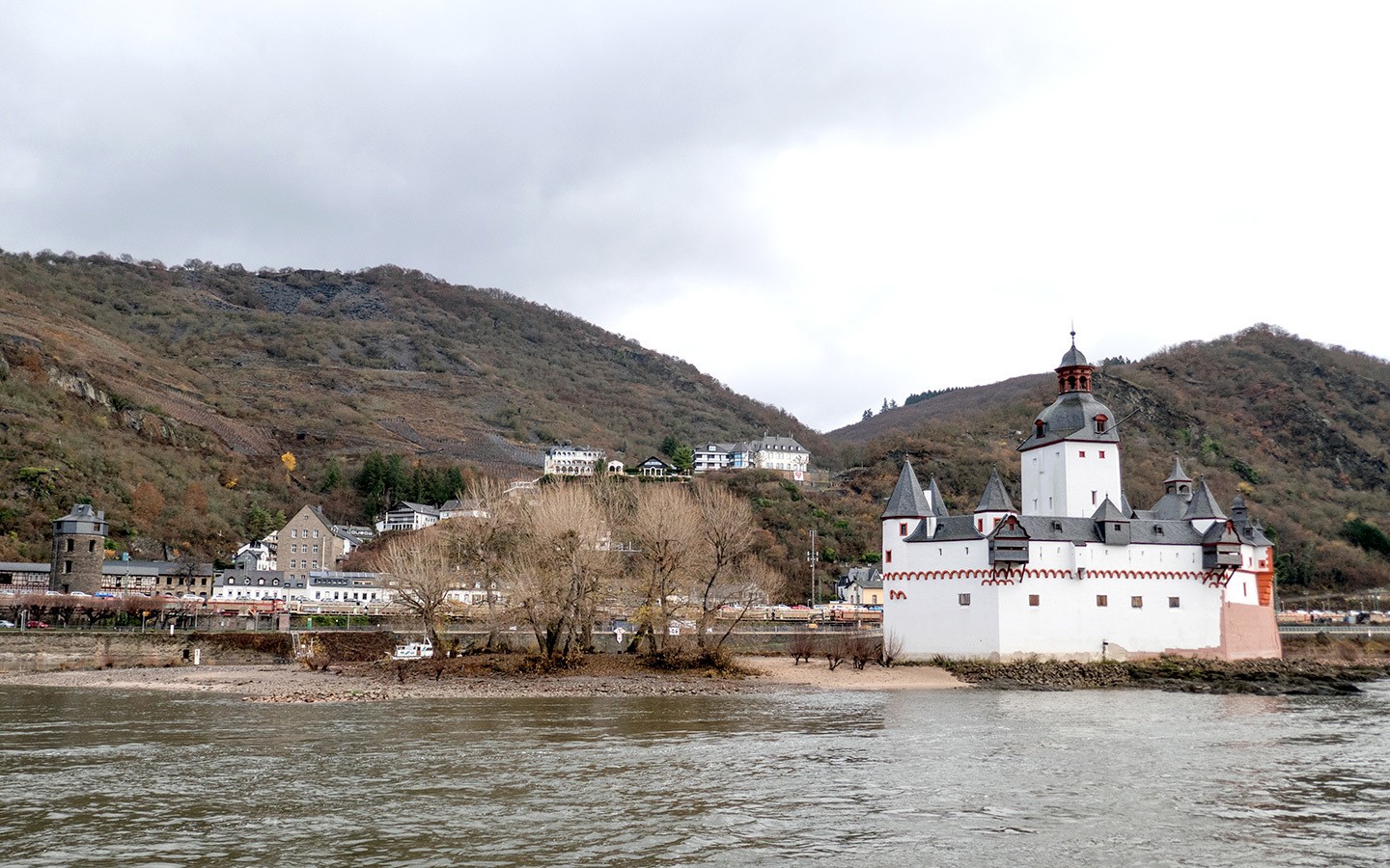 A Rhine river cruise