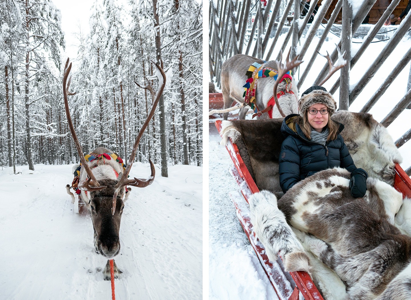 A reindeer sleigh ride at Santa Claus Village, Lapland