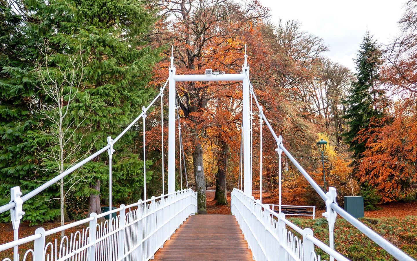 The Ness Islands riverside walk in Inverness, Scotland