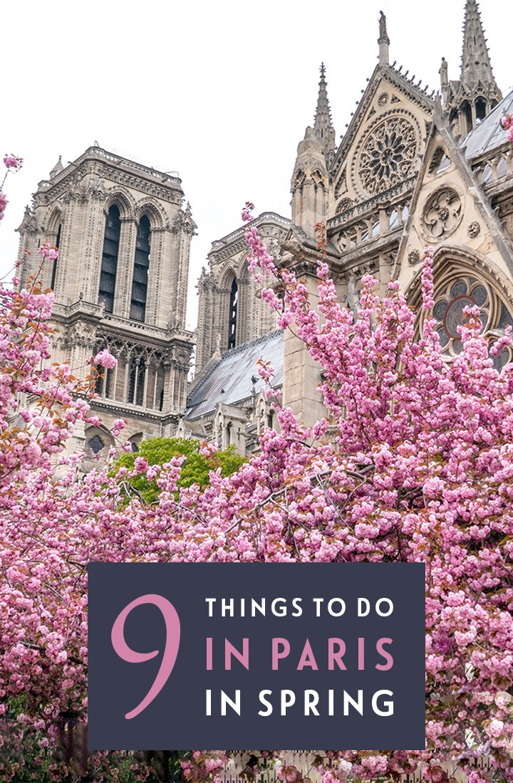 Paris In Spring 9 Things To Do In Paris In Springtime On The Luce Travel Blog