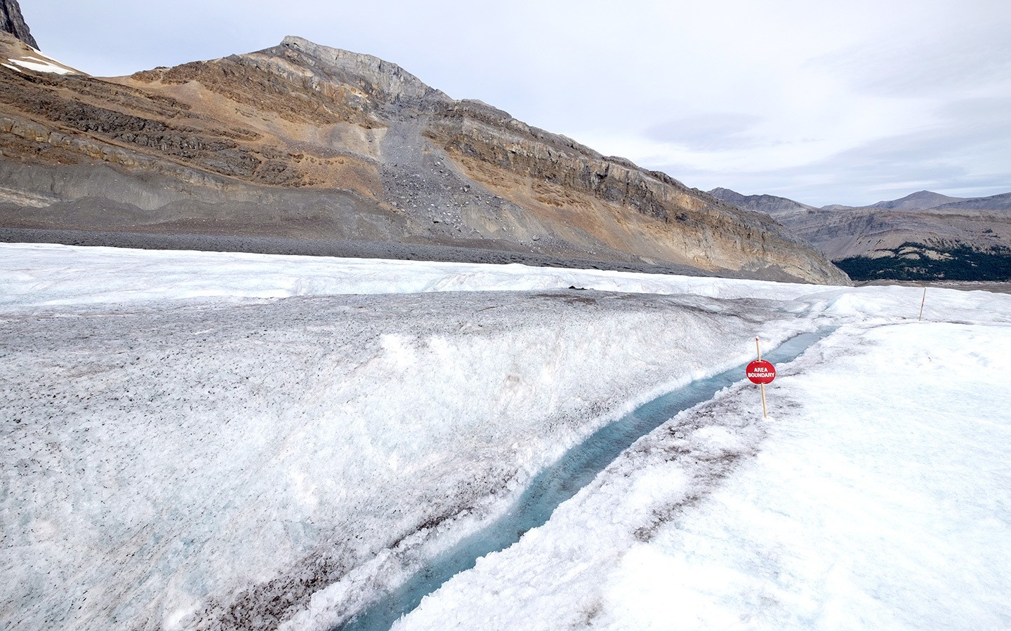 Bright blue streams on the Athabasca glacier
