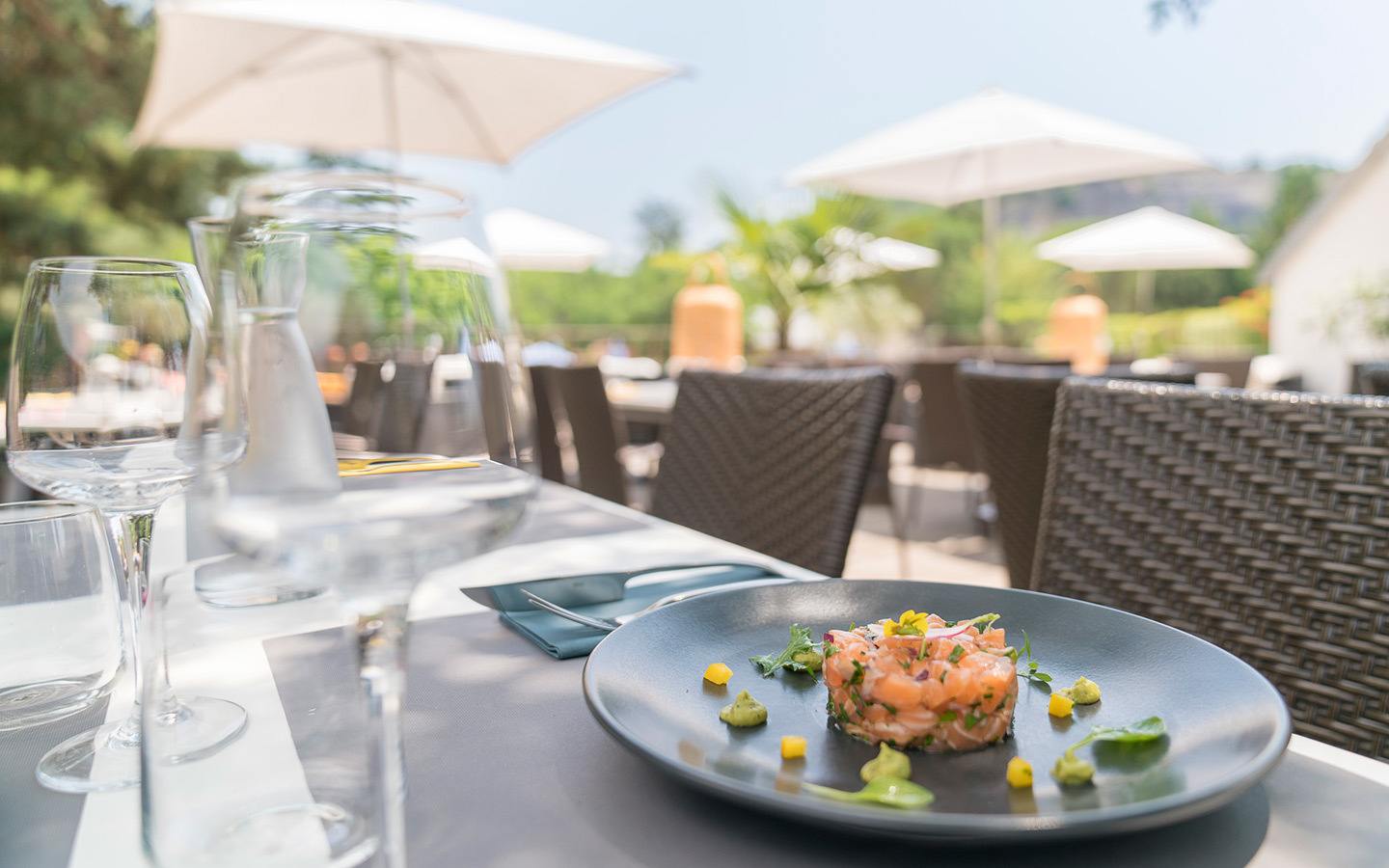 Salmon starter at terrace restaurant