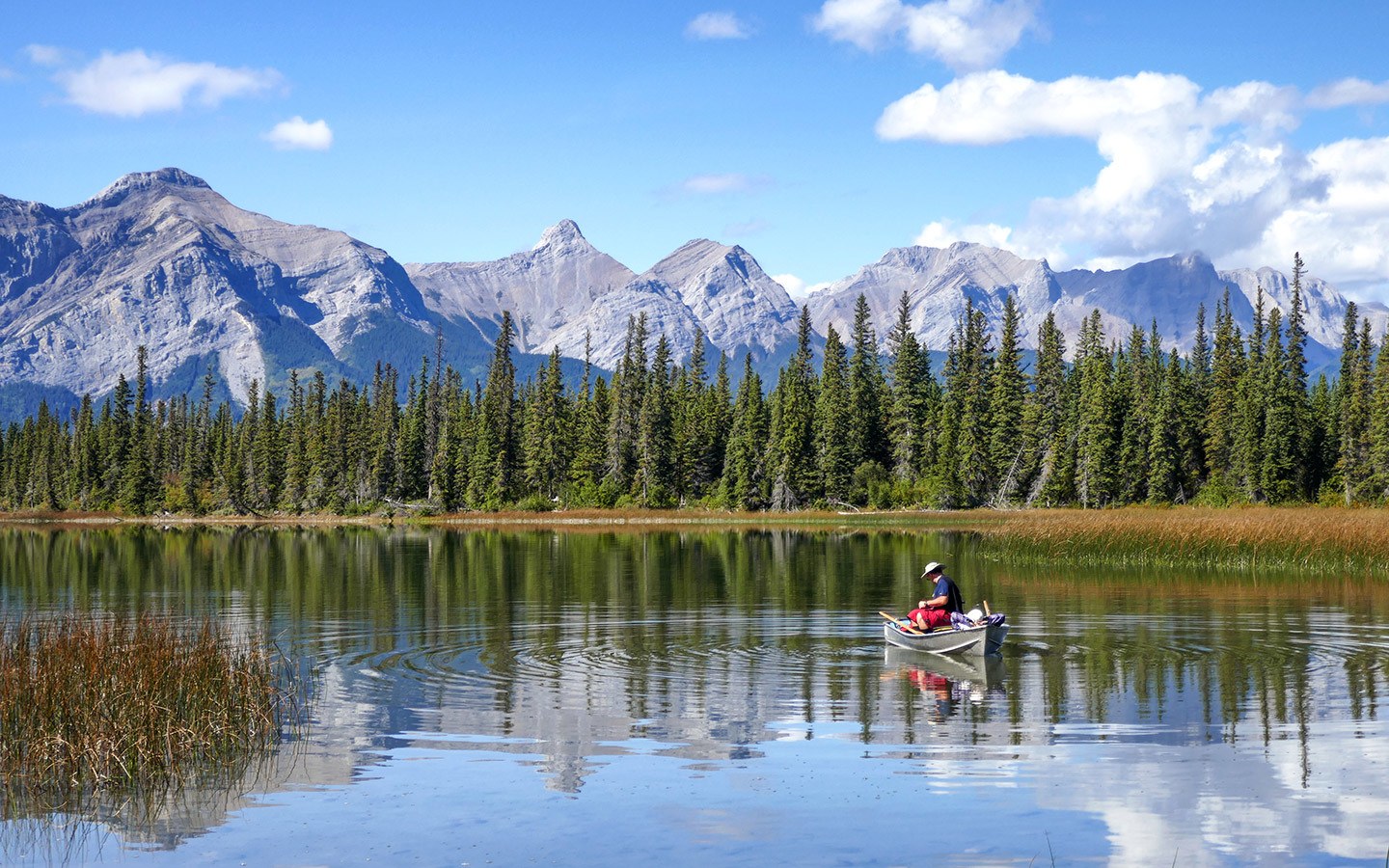 Reflections on Kinky Lake