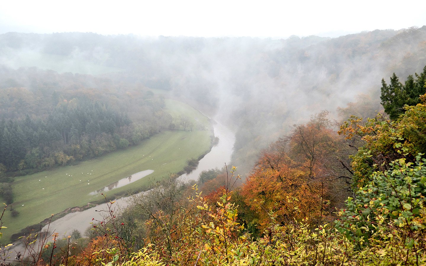 Symonds Yat Rock viewpoint in the Wye Valley