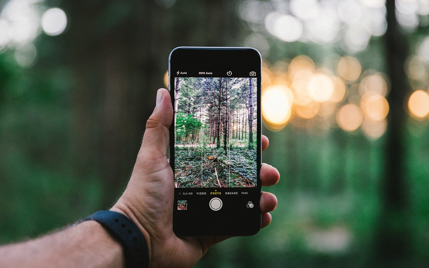 Smartphone cameras