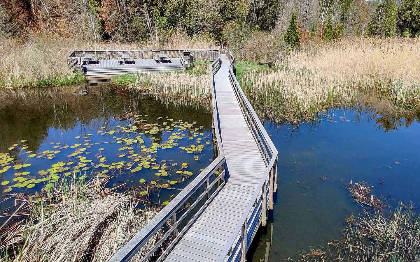 Boardwalk at Prequ'ile Provincial Park