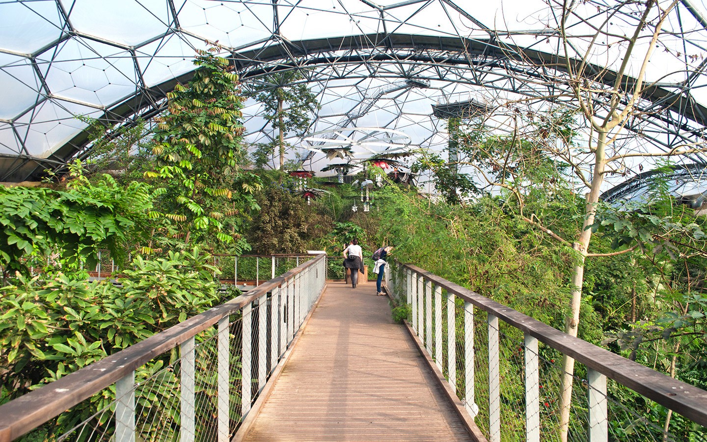Rainforest canopy walkway at the Eden Project in St Austell, Cornwall