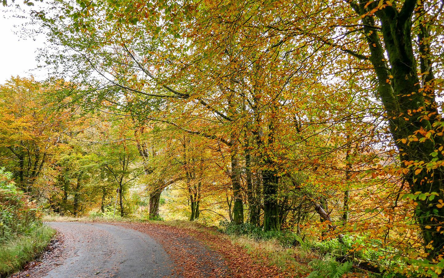Autumn on Raasay