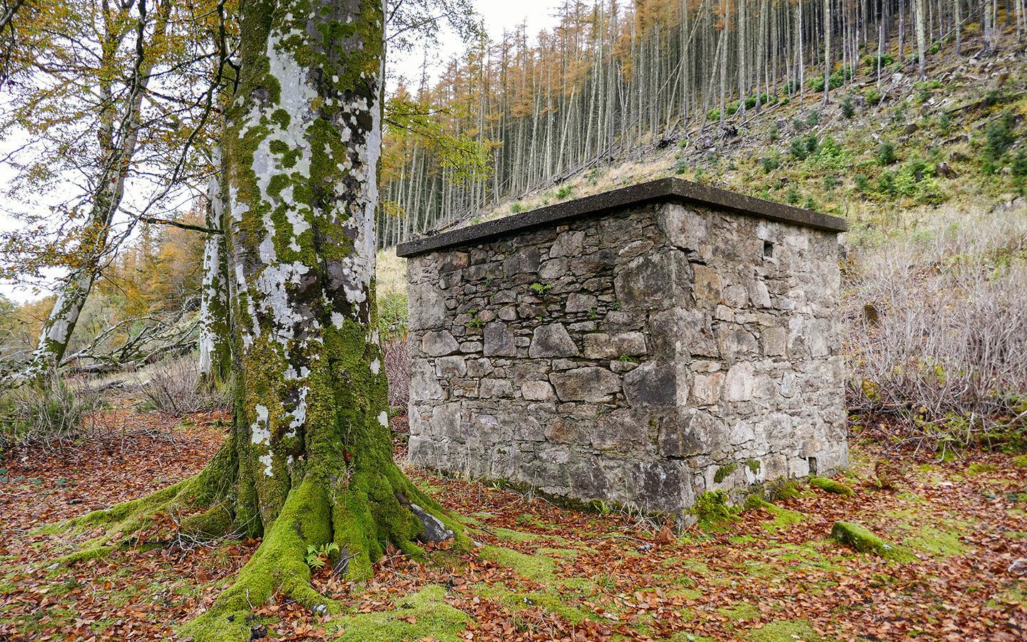 Remains of buildings on the Burma Road and Miners' Trail walk on a Raasay day trip